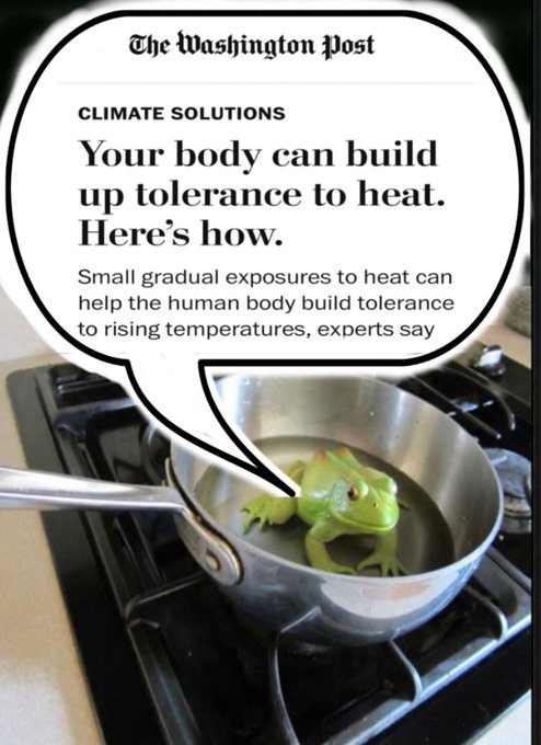 image of a frog in a kettle ready to get slowly boiled to death; in a speech bubble attached to the frog is a screenshot of a bezos-owned washpo news article titled "your body can build up tolerance to heat, here's how", as a take on how climate disaster requires humans to endure higher and higher temperatures in the future