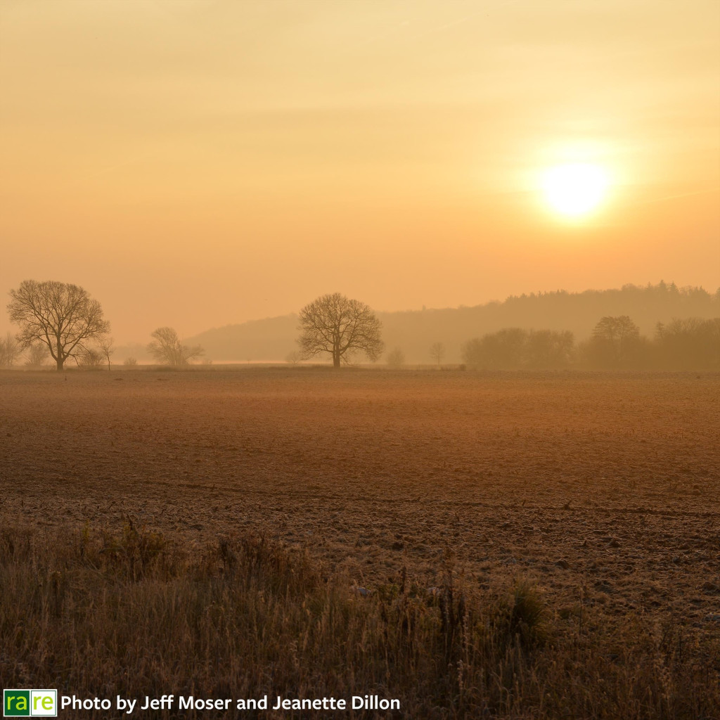 The sun rises over a foggy field at rare, with isolated trees in the distance. This photo was taken by Jeff Moser & Jeanette Dillon on November 16, 2013.