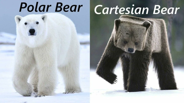 polar vs. cartesian bear