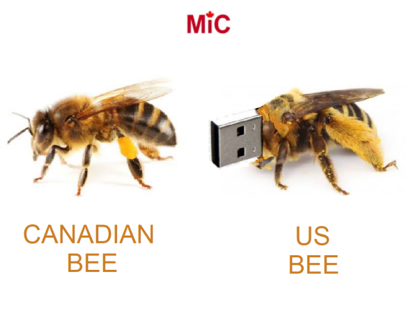 Image of 2 bees
1st bee is described as "Canadian Bee"
2nd be has a USB port for a head "US Bee"