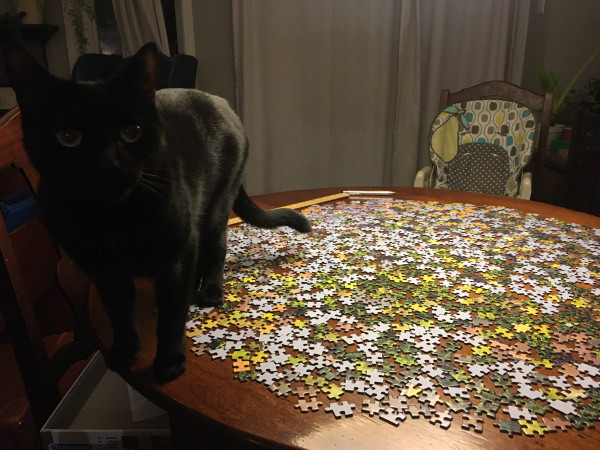 A black cat standing on a dining room table with an unassembled puzzle laying on it